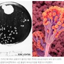 호기심 팡팡 과학실험실 이미지