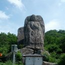 일호주