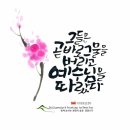 🏰 성 안드레아 사도 축일 이미지