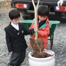 무지개유치원 이미지