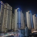 사하메디칼 이미지