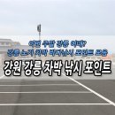 로드1758카페 | 강원 강릉 차박 바다낚시 포인트 총정리