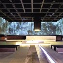 생명그리고빛 이미지