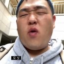 문장수집가