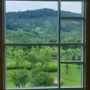 동읍672 | [창원농촌체험관광] 창원단감테마공원 후기 및 이벤트 당첨