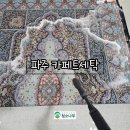 파주 카페트세탁 전문업체 후기