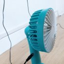 파파랜드 이미지
