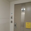 참다한홍삼고잔점