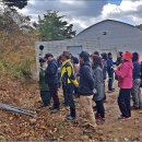 내린천약초 이미지