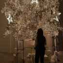 [2021-08-20]가죽카드지갑 만들기 | 레이디디올 파우치 woc 블랙 페이턴트 3년 사용 후기 (+체인 활용 방법 5가지)