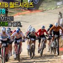 이비내셔널