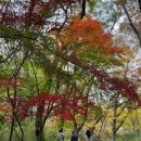 호텔 쁠랑(충주시청점) 이미지