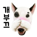 미스터 멍 애견샵 이미지