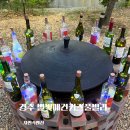 경주 별빛키즈 애견 풀빌라 이미지