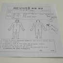 리바이브 체형교정