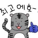 플랜트란스 부산,양산 이미지