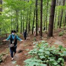 국립자연휴양림관리소(산음자연휴양림) 이미지