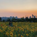 소담동 숲바람수변공원