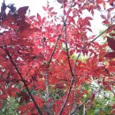 영인산성 이미지