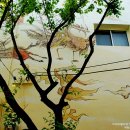 삼덕동주민센터 이미지