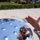 창의나무어린이집 이미지