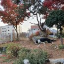 산책가는길 이미지