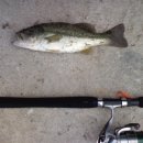 구룡천2 이미지