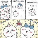 아기깜냥이 제프 #7 🐈‍⬛☘️ 생일축하해💚 이미지