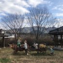 퇴로고가농촌체험휴양마을 이미지