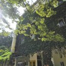 옥계우리유치원 이미지