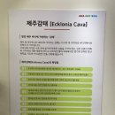아하데이스파 - 창원시 마산합포구 문화동4길 60 | 아하데이스파
