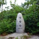 상지목장 Daum카페