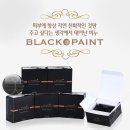 제너럴네트 | [T멤버십 체험ZONE 당첨후기] 제너럴네트 블랙美페인트 이용 후기