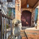 도그패밀리 이미지