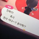 시트러스 이미지