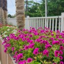 빌라 드 칠암 이미지