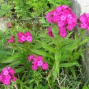 김봉수외과의원 이미지