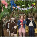 예성태권도 이미지