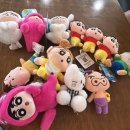 수현동물병원 | 2025 결산