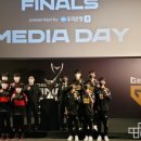 스프링미디어