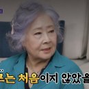 정혜선 카카오 검색결과