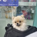 25시 죽곡동물병원 이미지