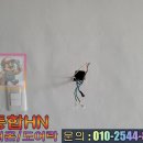 동영인테리어 이미지