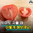 토마토 과즙 안 흘리고 자르는 방법, 이렇게 간단하다고? 이미지