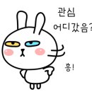 참크리닝 이미지