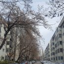 큰대우공인중개사사무소 이미지