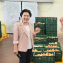 거창사과원협청과물종합처리장 이미지