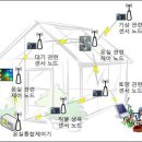 KS농장 디지털타임스