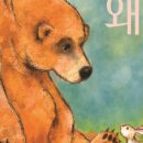 북극곰 로라 이미지