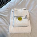 103 | 스위스 인터라켄 가족 여행 숙소 추천 에어컨 취사 시설 있는 BANK HOUSE 103호 후기